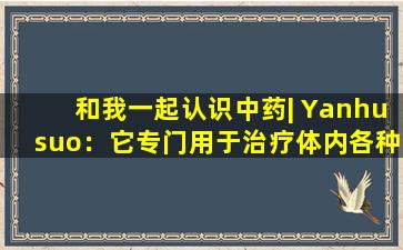 和我一起认识中药| Yanhusuo：它专门用于治疗体内各种疼痛